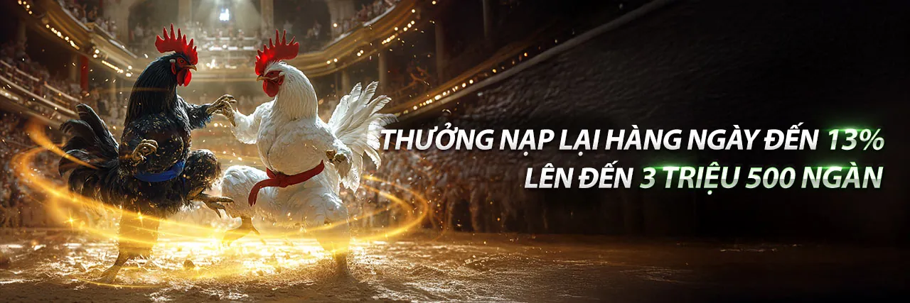 Cá cược thể thao 18 Win